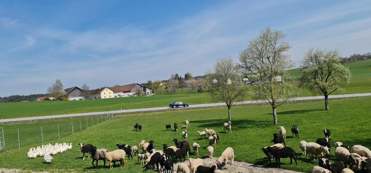Landgasthof Entenwirt Tarsdorf Eksteriør billede