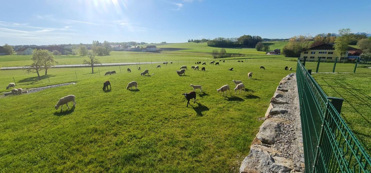 Landgasthof Entenwirt Tarsdorf Eksteriør billede