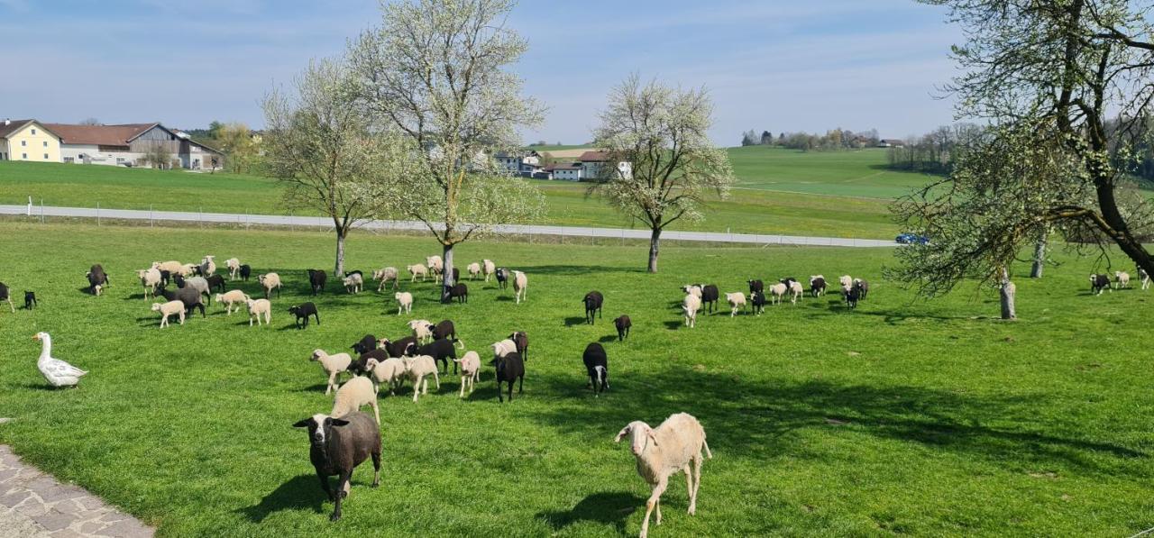 Landgasthof Entenwirt Tarsdorf Eksteriør billede