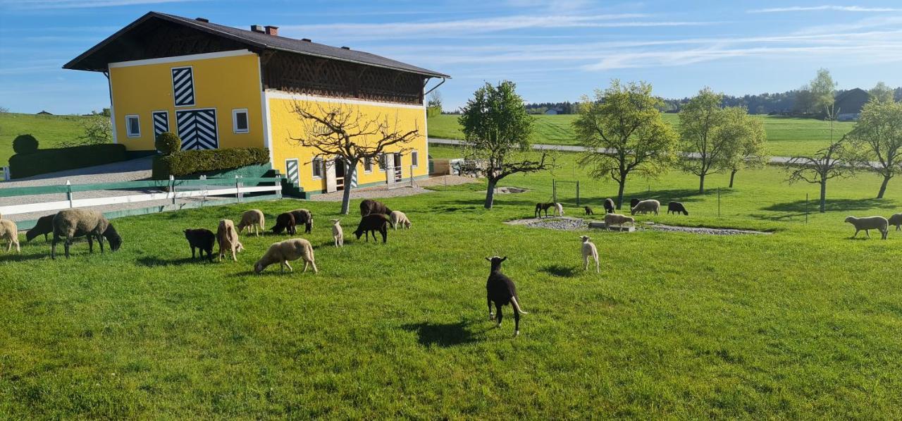 Landgasthof Entenwirt Tarsdorf Eksteriør billede